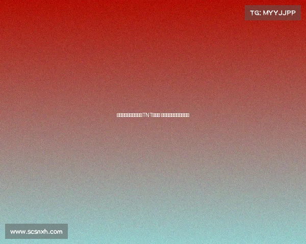 贝尔接替费迪南德担任TNT解说员 主播下赛季英超欧冠赛事