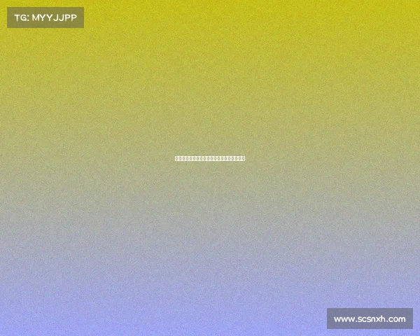 法甲联赛欧洲杯参赛球员表现分析及前景展望