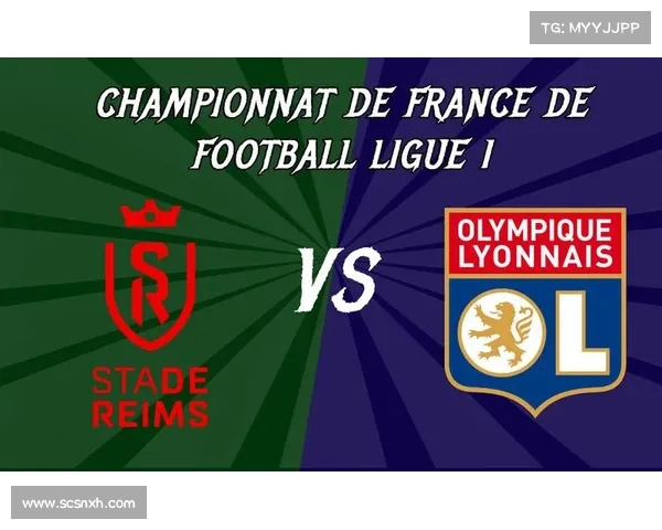 法甲赛季红黄牌统计分析与球员纪律行为趋势探讨