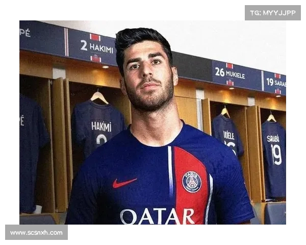 法甲联赛欧洲杯参赛球员表现分析及前景展望