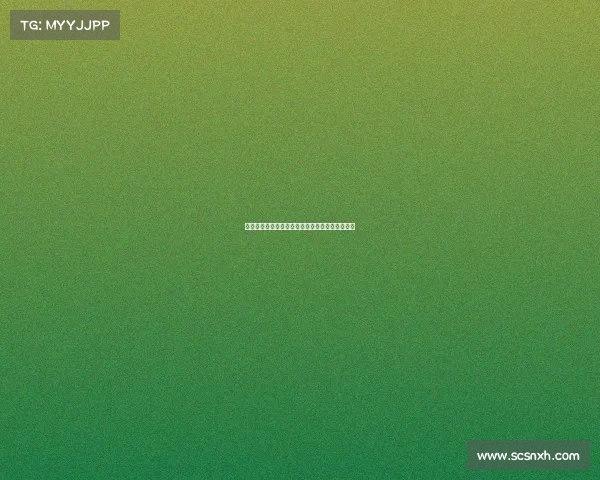 德甲赛事商业化进程与市场化运作模式的深度剖析