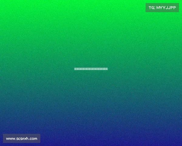 德甲赛事商业化进程与市场化运作模式的深度剖析